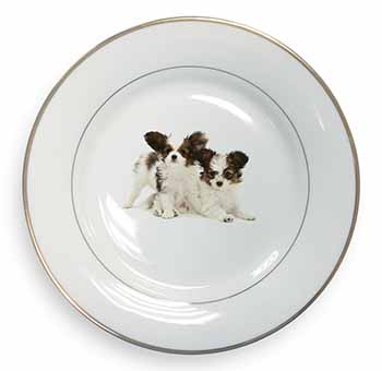 Papillon Dogs Gold Rim Plate Printed Full Colour in Gift Box