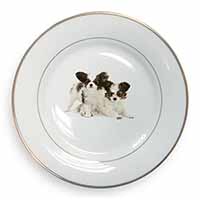 Papillon Dogs Gold Rim Plate Printed Full Colour in Gift Box