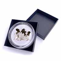 Papillon Dogs Glass Paperweight in Gift Box