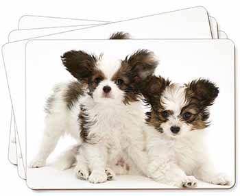 Papillon Dogs Picture Placemats in Gift Box