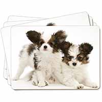 Papillon Dogs Picture Placemats in Gift Box