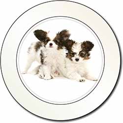 Papillon Dogs Car or Van Permit Holder/Tax Disc Holder