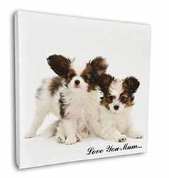 Papillon Dogs 