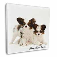 Papillon Dogs 