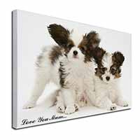 Papillon Dogs 