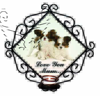 Papillon Dogs 