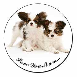 Papillon Dogs 