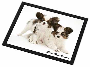 Papillon Dogs 