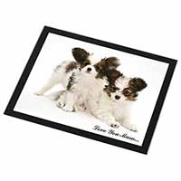 Papillon Dogs 