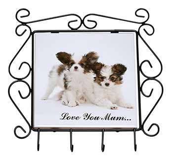 Papillon Dogs 