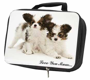 Papillon Dogs 