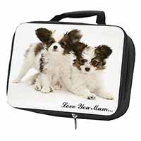 Papillon Dogs 