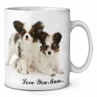 Papillon Dogs 