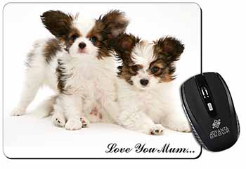 Papillon Dogs 