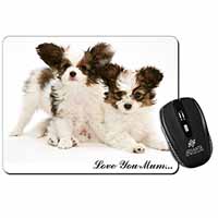 Papillon Dogs 