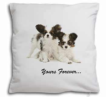 Papillon Dogs 