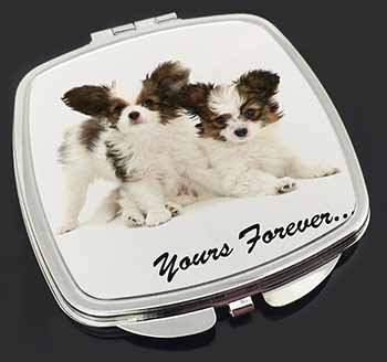 Papillon Dogs 