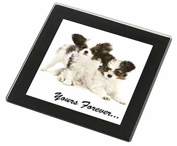 Papillon Dogs 