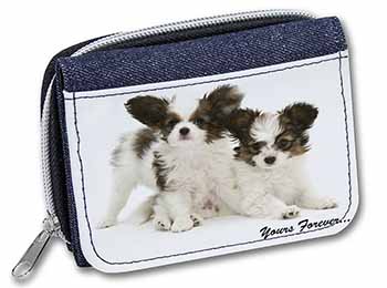 Papillon Dogs 