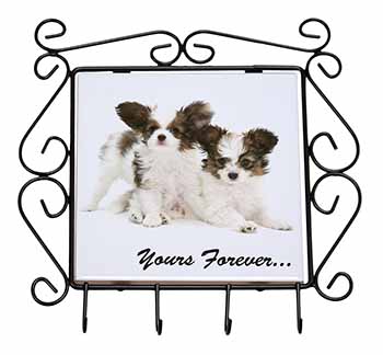 Papillon Dogs 