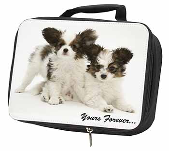 Papillon Dogs 