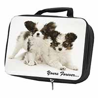 Papillon Dogs 