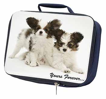 Papillon Dogs 