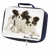 Papillon Dogs 