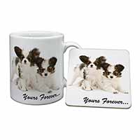 Papillon Dogs 