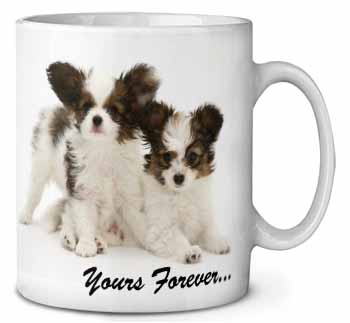 Papillon Dogs 