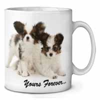 Papillon Dogs 