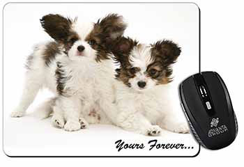 Papillon Dogs 