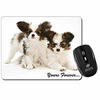 Papillon Dogs 