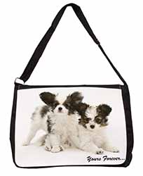 Papillon Dogs 