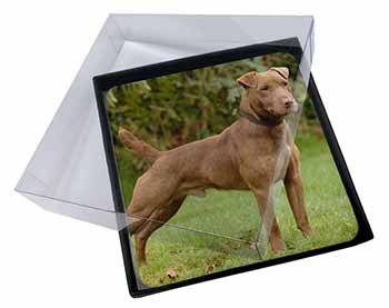 4x Patterdale Terrier Dog Picture Table Coasters Set in Gift Box