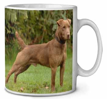 Patterdale Terrier Dog Ceramic 10oz Coffee Mug/Tea Cup