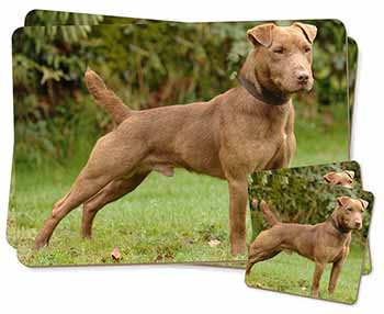 Yorkshire Terrier Dogs Twin 2x Placemats+2x Coasters Set in Gift Box AD-Y11PC 
