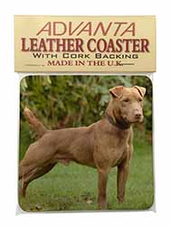 Patterdale Terrier Dog Single Leather Photo Coaster