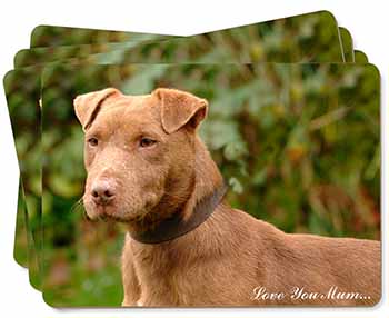 Patterdale Terrier 