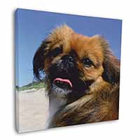 Pekingese Dog Square Canvas 12"x12" Wall Art Picture Print