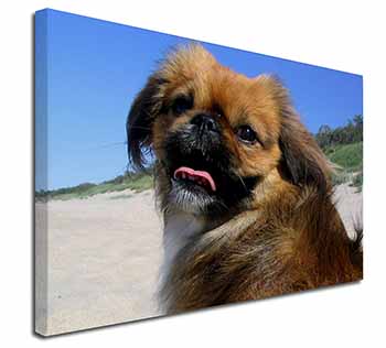 Pekingese Dog Canvas X-Large 30"x20" Wall Art Print