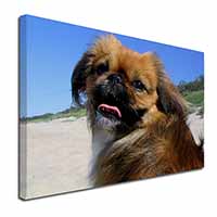 Pekingese Dog Canvas X-Large 30"x20" Wall Art Print