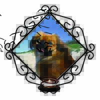 Pekingese Dog Wrought Iron Wall Art Candle Holder