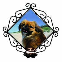 Pekingese Dog Wrought Iron Wall Art Candle Holder