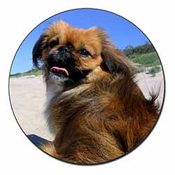 Pekingese Dog Fridge Magnet Printed Full Colour