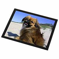 Pekingese Dog Black Rim High Quality Glass Placemat