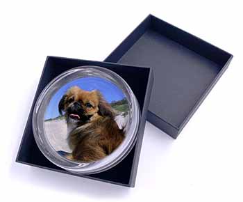 Pekingese Dog Glass Paperweight in Gift Box