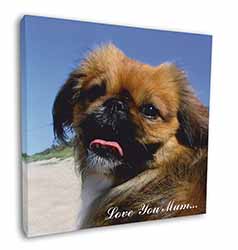 Pekingese Dog 