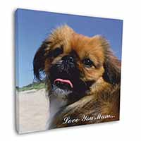 Pekingese Dog 