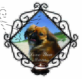 Pekingese Dog 